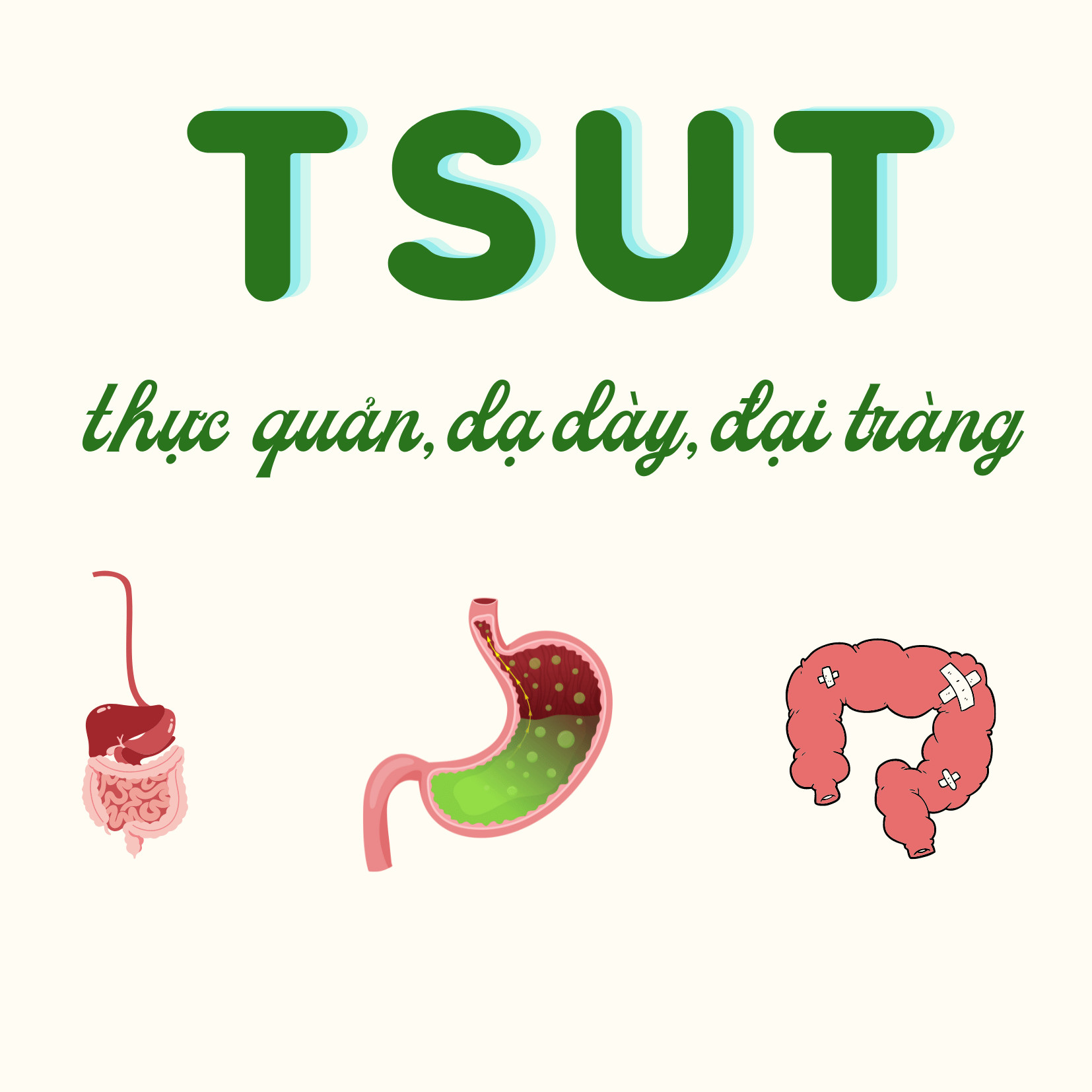 TSUT thực quản, dạ dày, đại trực tràng
